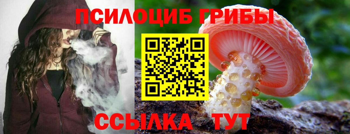 Галлюциногенные грибы Psilocybe Магнитогорск